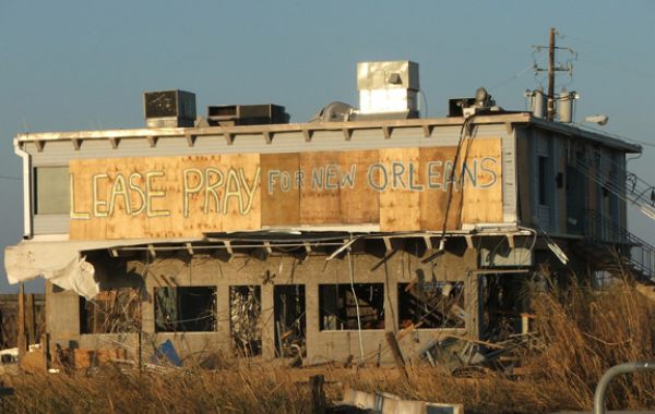 Oysterhouse-kat Oysterhouse-kat