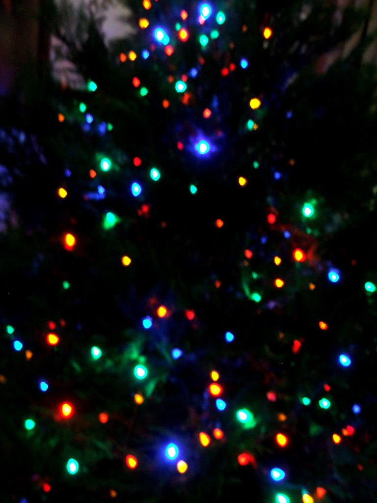 Christmastree2011 Christmastree2011