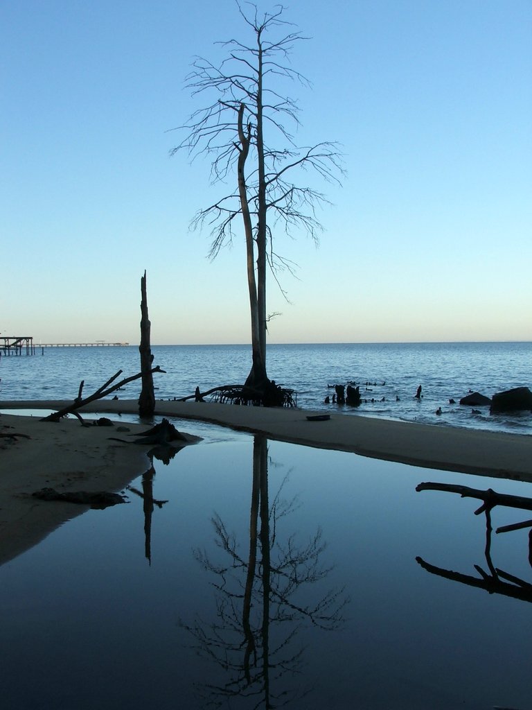 TreeReflection TreeReflection