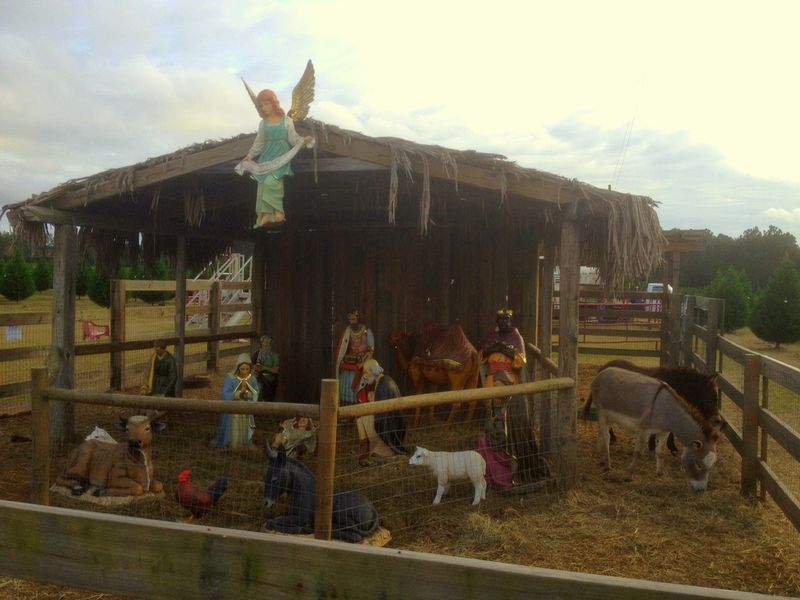 FishRiverTreesCreche