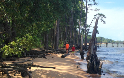 BoysOnTheWayToThePark