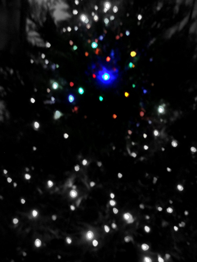 ChristmasTreeFocalBW ChristmasTreeFocalBW