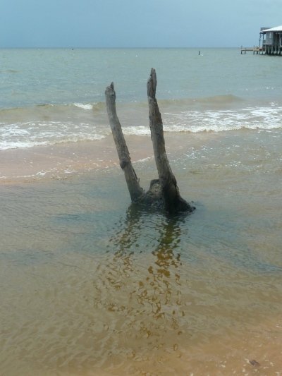 NeitherWavingNorDrowning