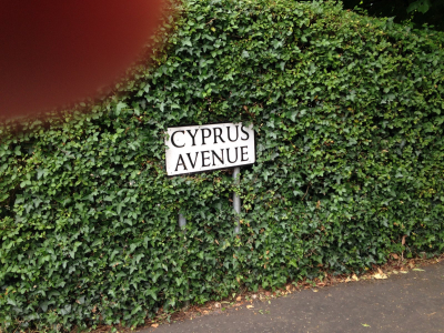 CyprusAvenueSign CyprusAvenueSign