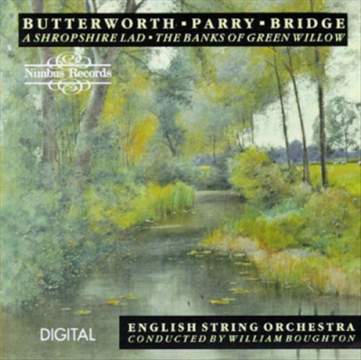 ButterworthParryBridge