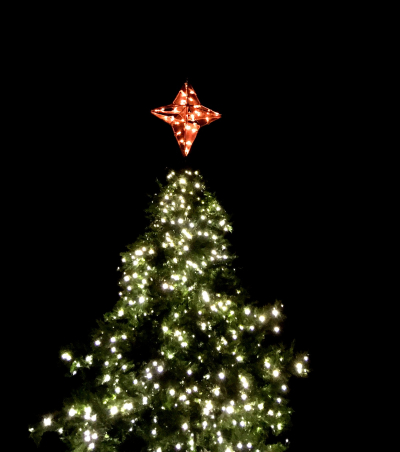 ChristTheKingChristmasTree