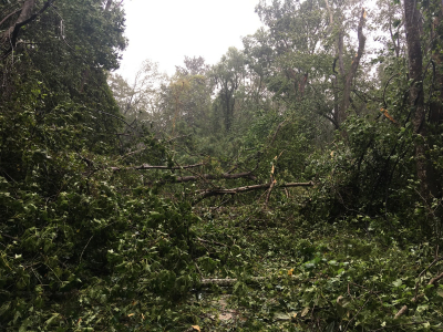 MyStreeAfterHurricaneSally